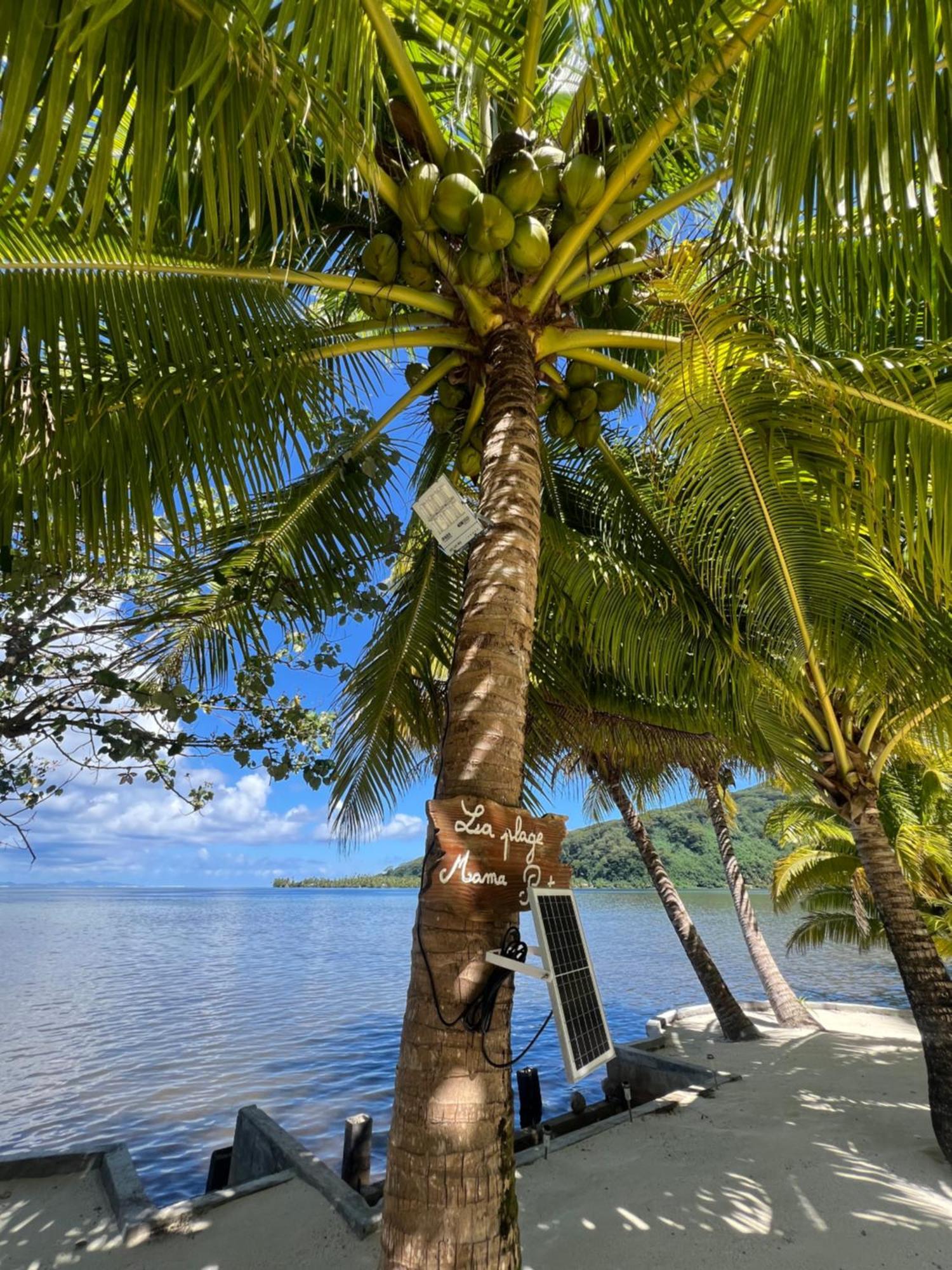 Fare Mama Rota - Au Bord De L'Ocean Villa Taputapuapea Exterior photo